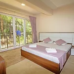 Zehra 2*