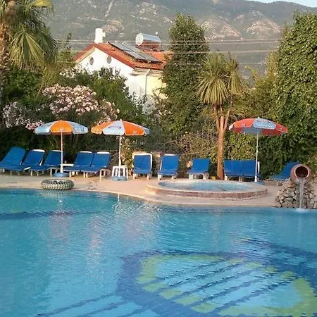 Zehra 2*